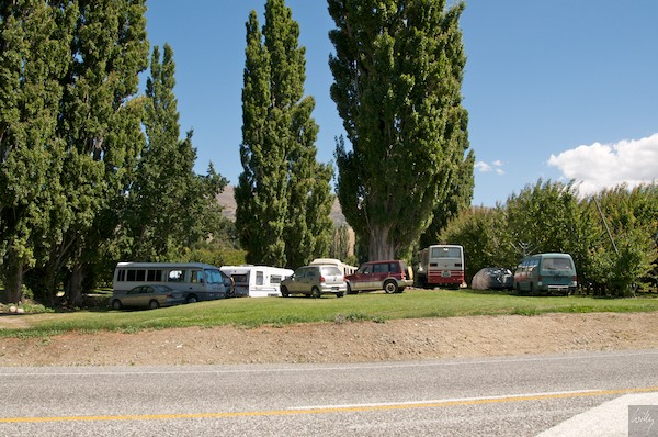 New Zealand 09 10  177